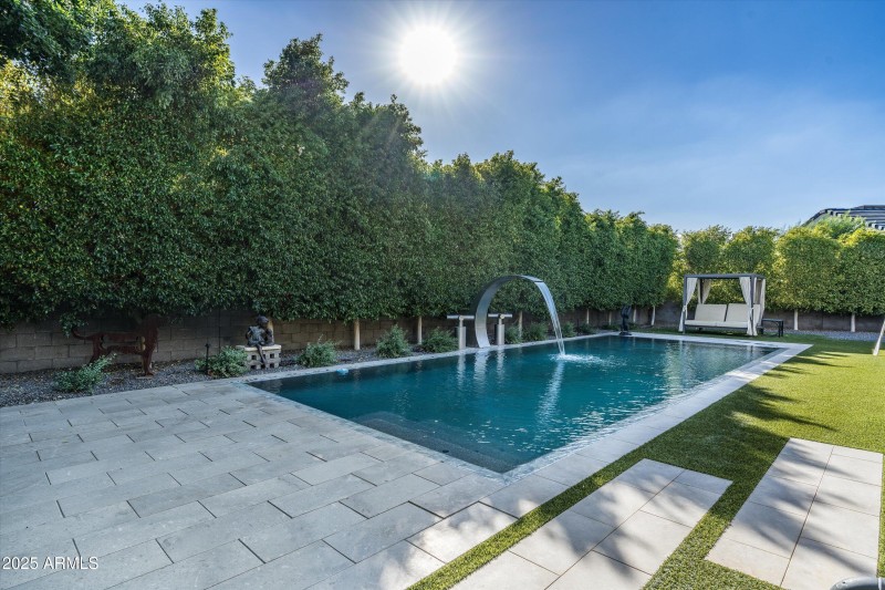 Backyard daytime