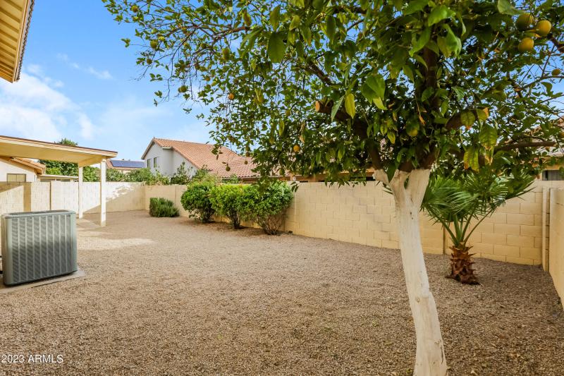 030-photo-rear-view-13364407