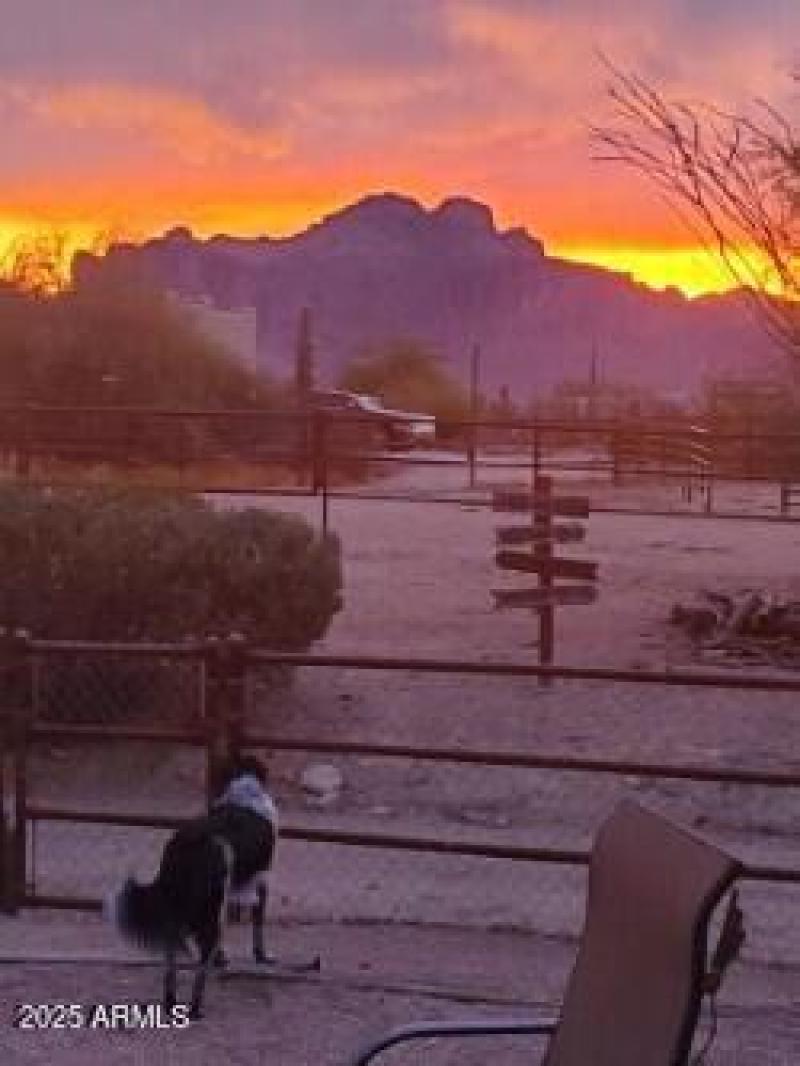 thumbnail_4929428064494469754