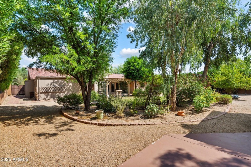 Backyard 2