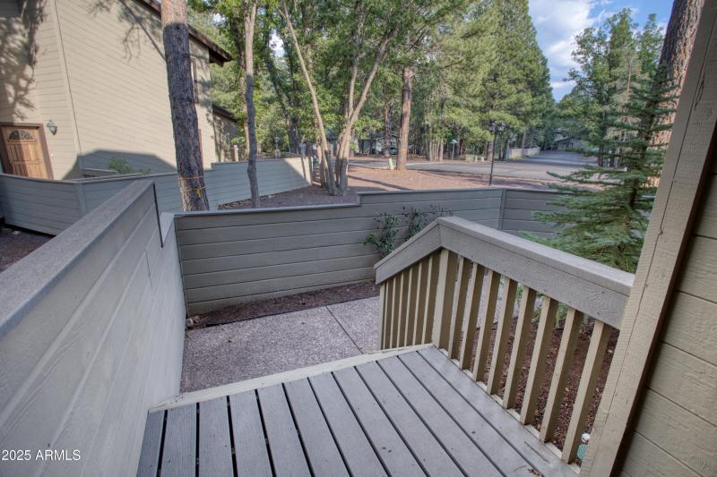 Paxmanphoto_PAX_1116