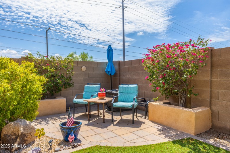 Backyard southeast corner