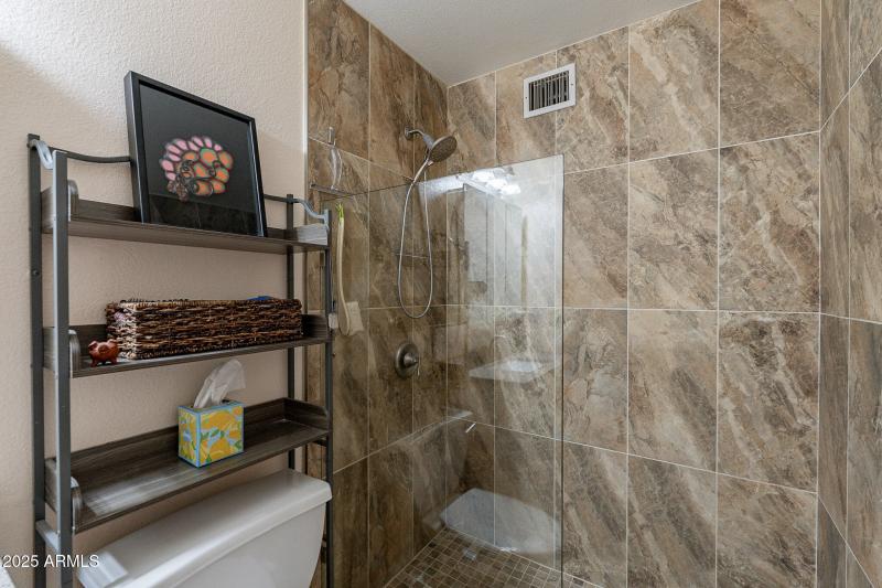 Updated Primary Shower