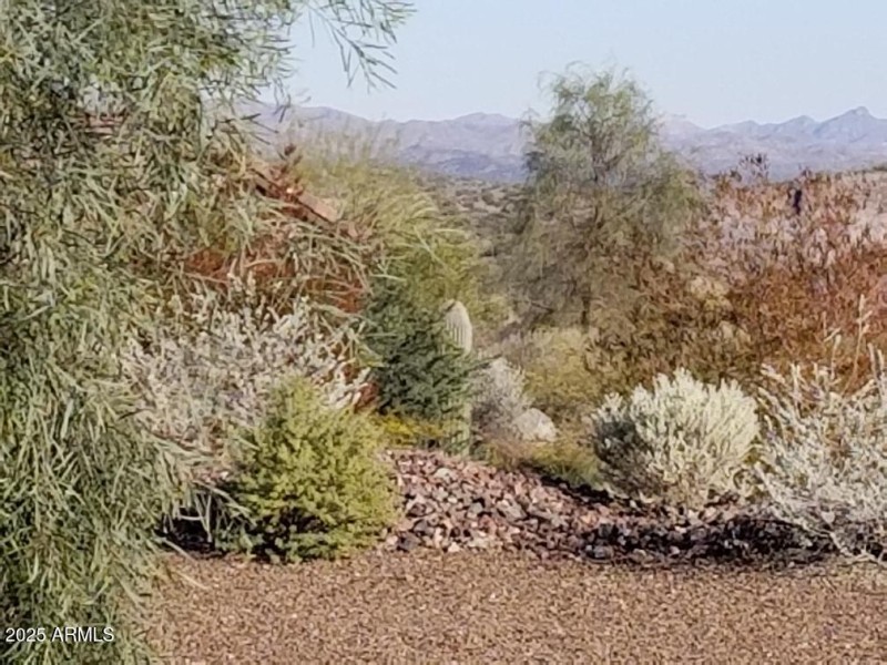 View from patio