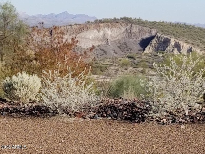 view from patio