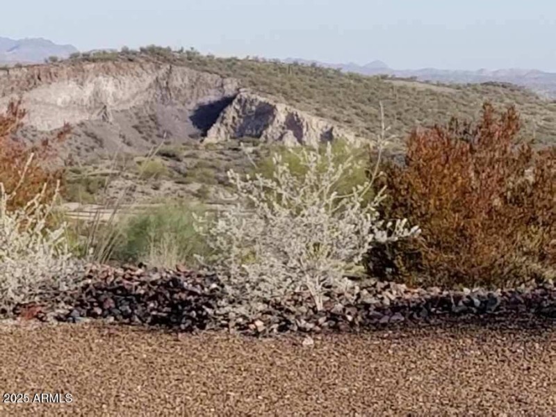 View from patio