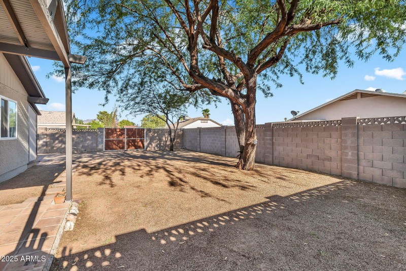Backyard