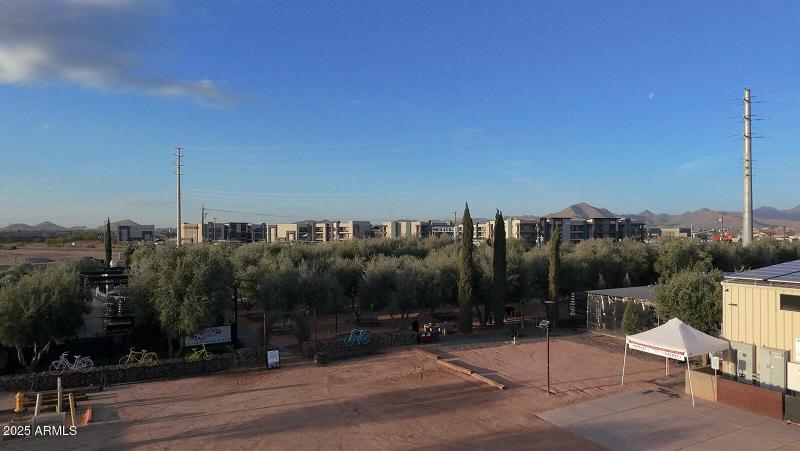 Queen Creek Olive Mill