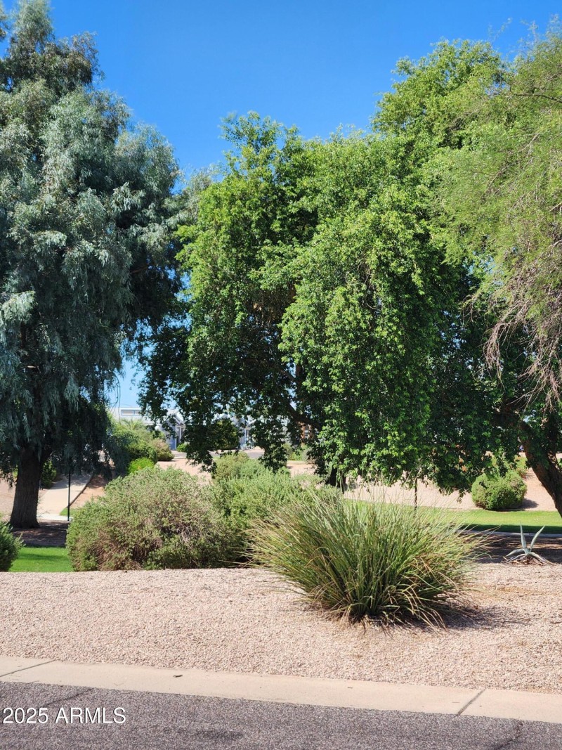 CR Rec Area 6