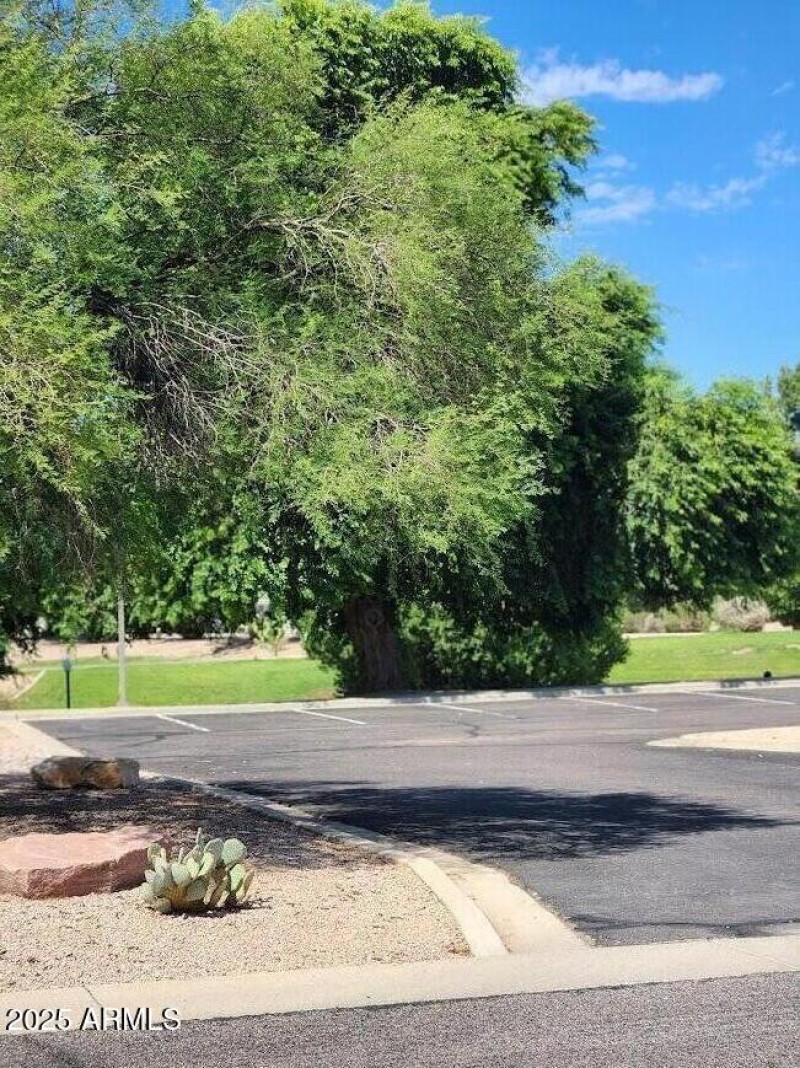 CR Rec Area 5