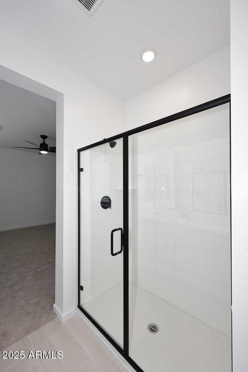 Primary Bath-Shower (1)