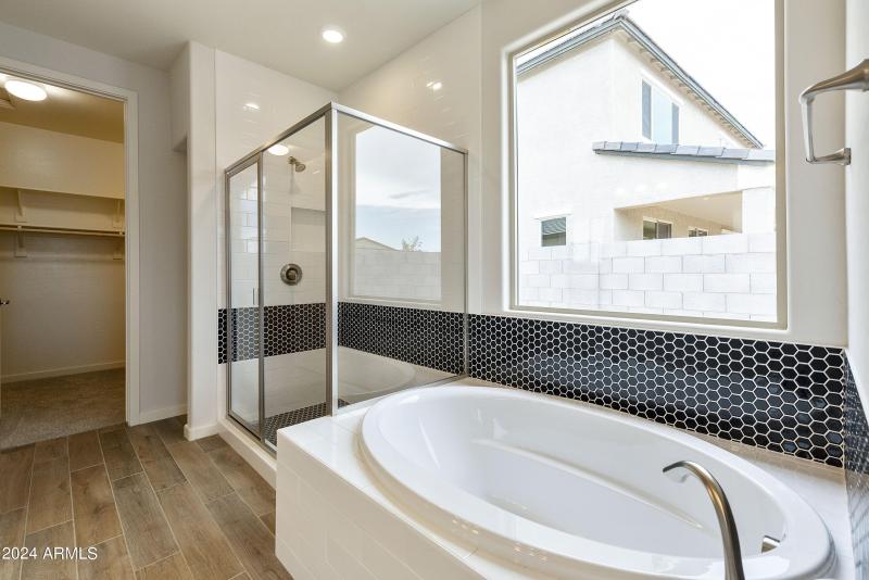 OWNER'S SEPERATE TUB AND SHOWER