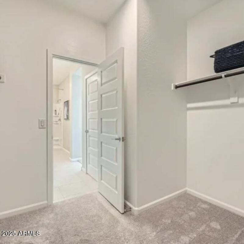 Owners Walk in Closet