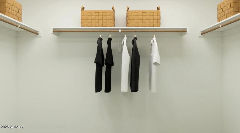 Owners Walk in Closet