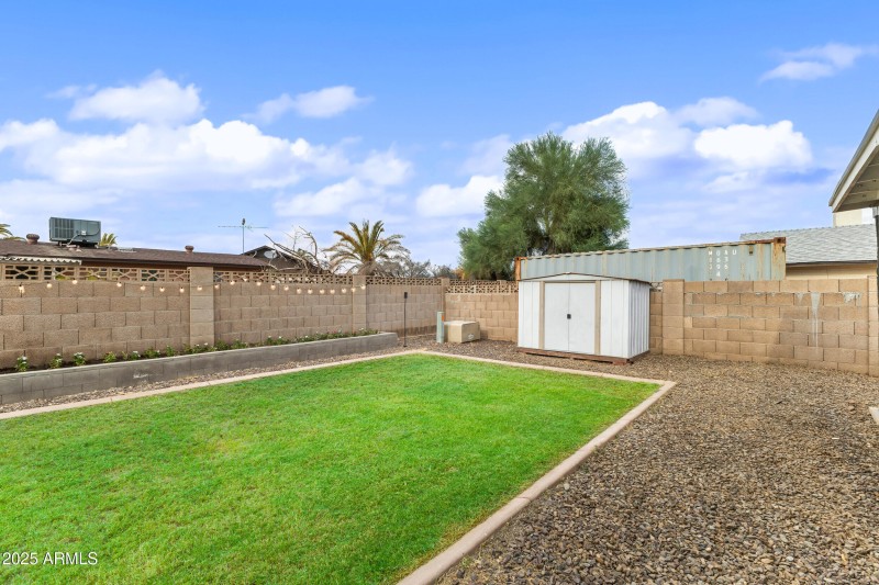 Backyard