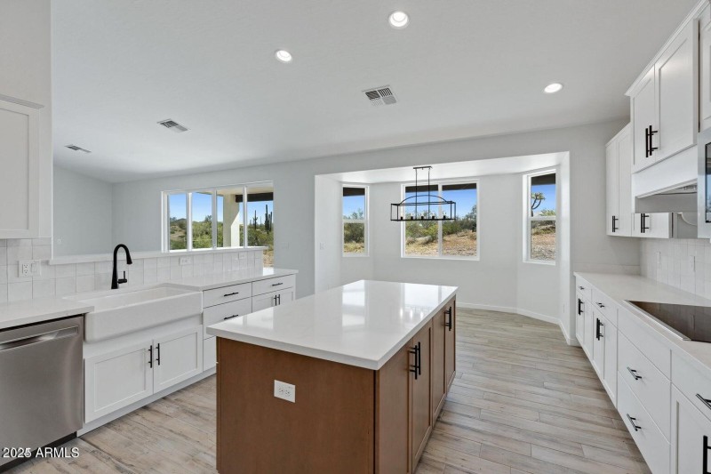 PICTURE OF 740 PATRICK KITCHEN SINK