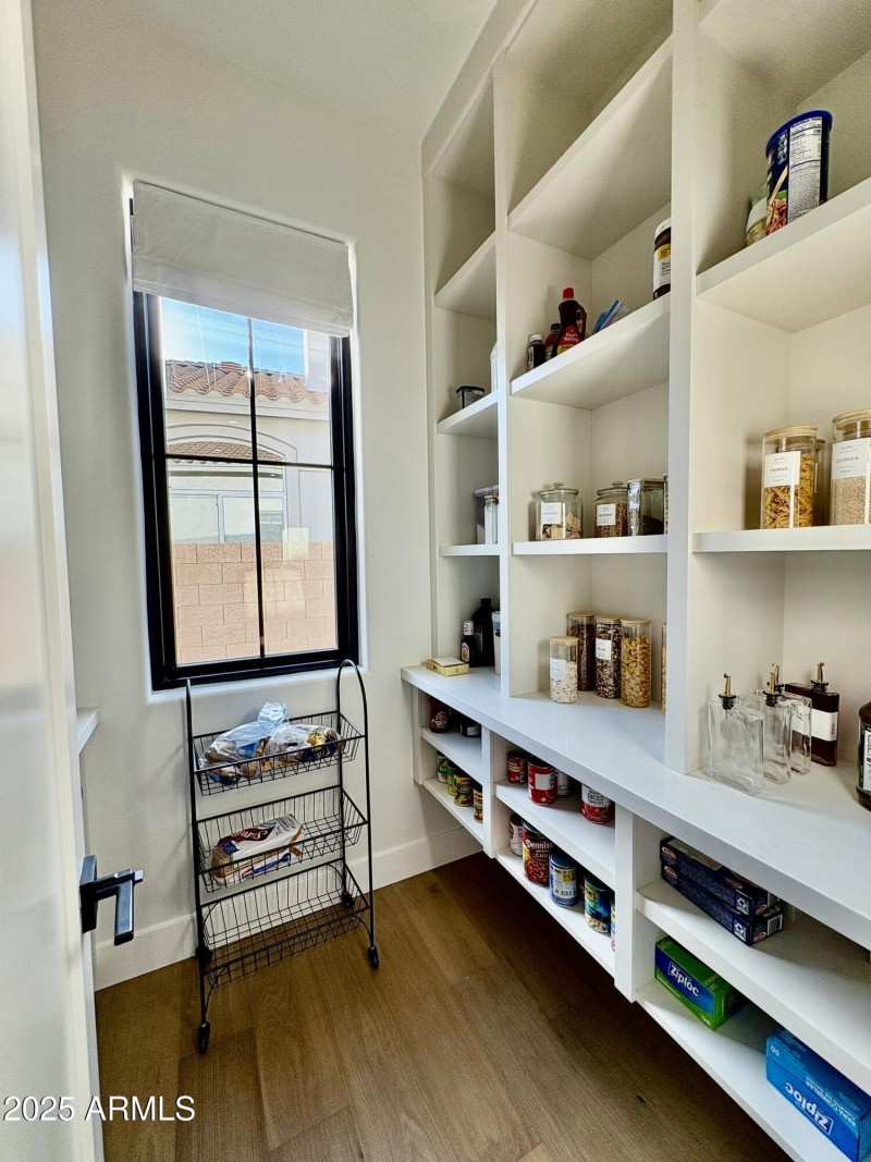 Huge Custom Pantry