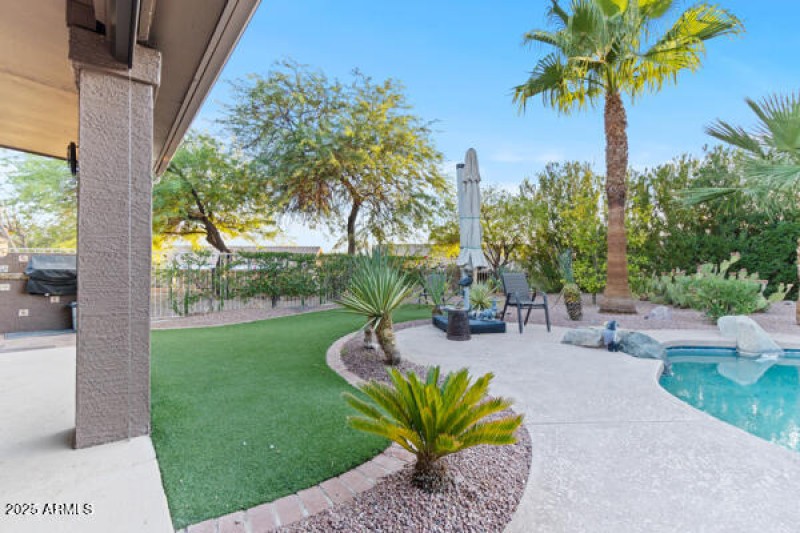 Backyard 1