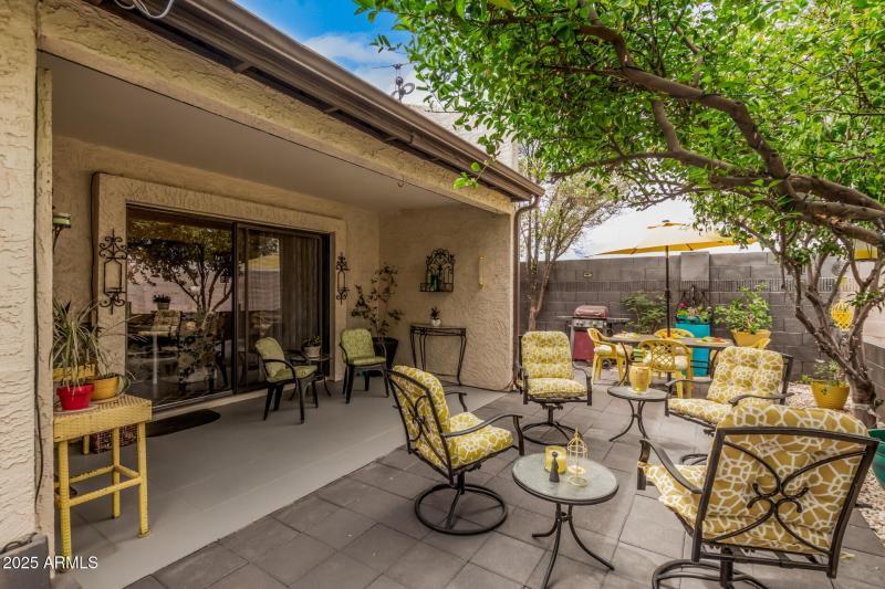 Patio Looking West