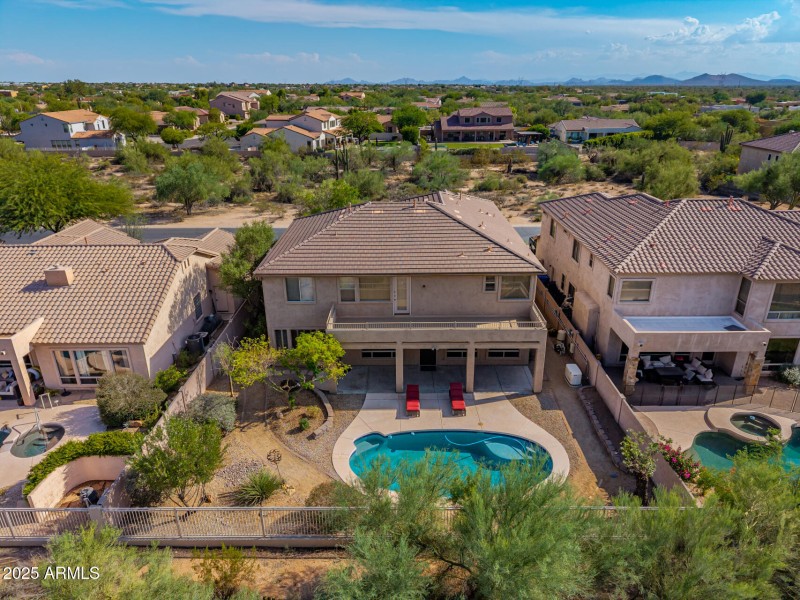 77 - Desert Forest Drone