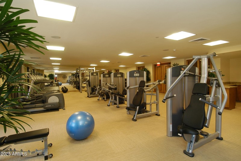 Gym