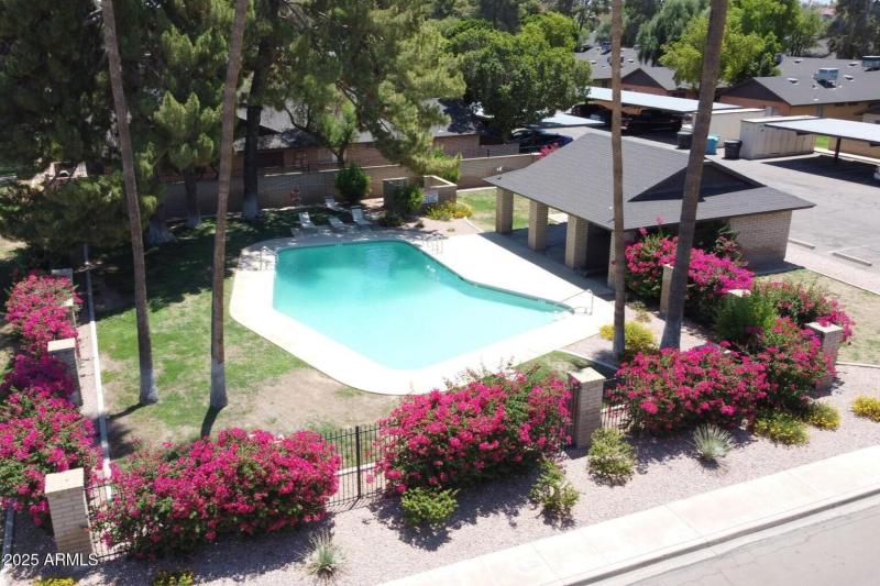 Community Pool_Alameda Park