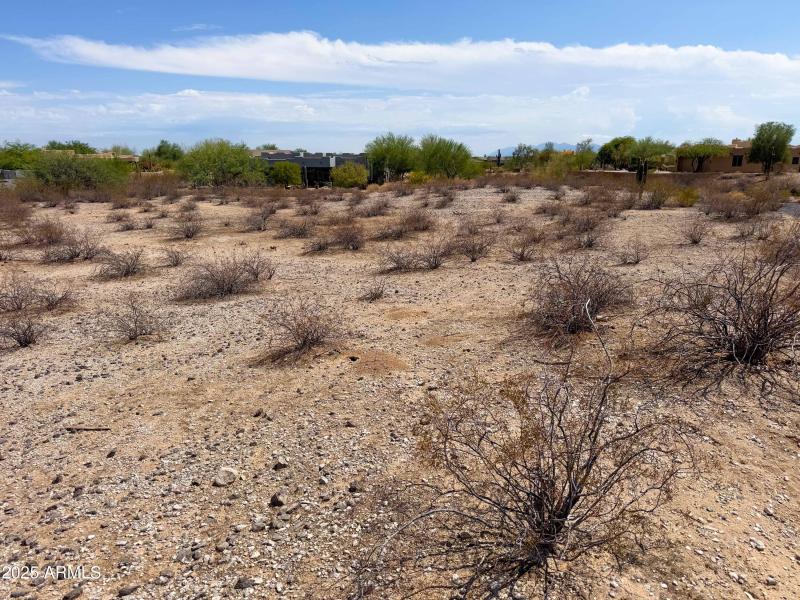 Your dream lot- Alice Ct