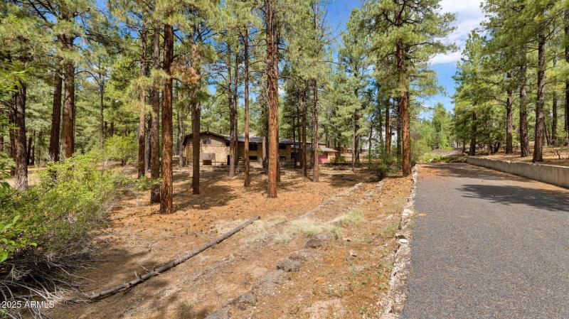 24-web-or-mls-P1154187