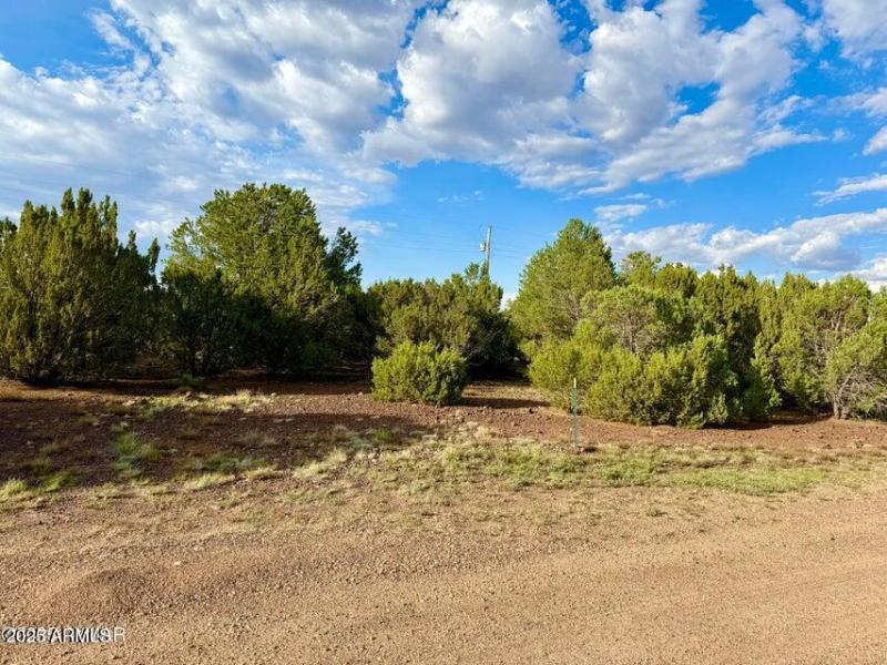 20250906015359093601000000-o