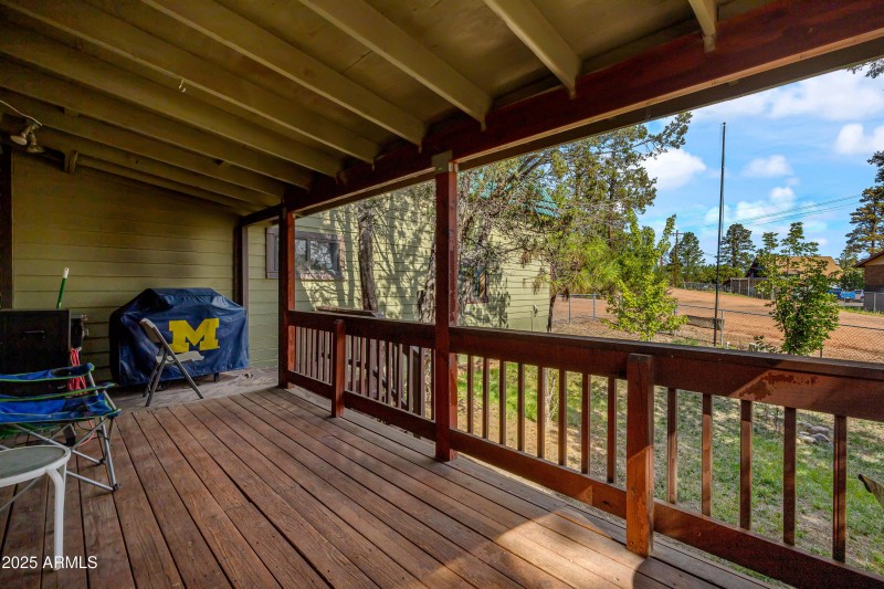 2003 Little Doe Trail, Overgaard, AZ-Cab