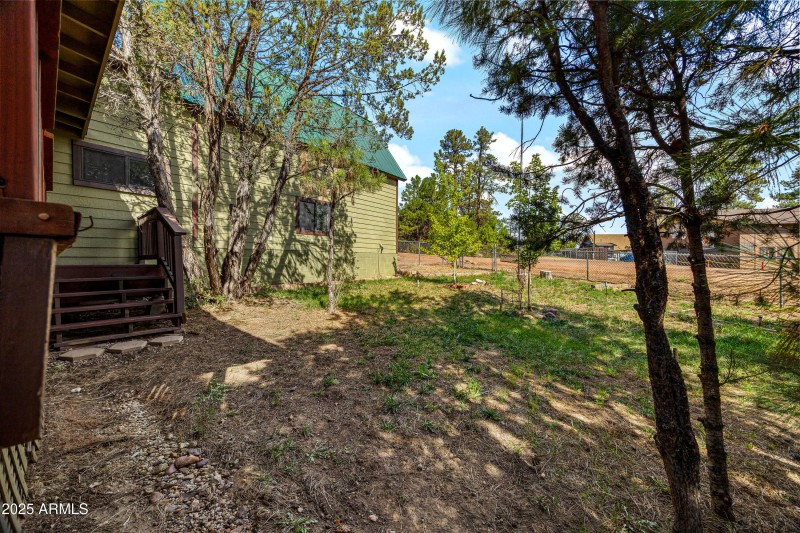 2003 Little Doe Trail, Overgaard, AZ-Cab