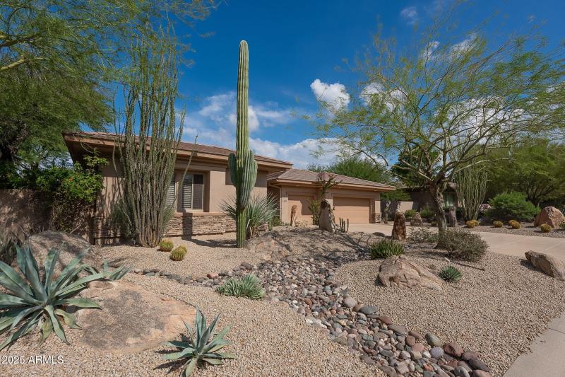 3-web-or-mls-Visao-3