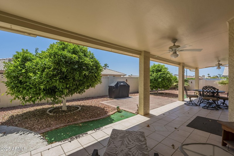 South-facing Backyard