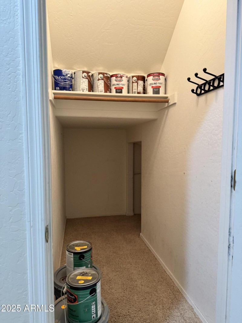 Under Stairs Storage