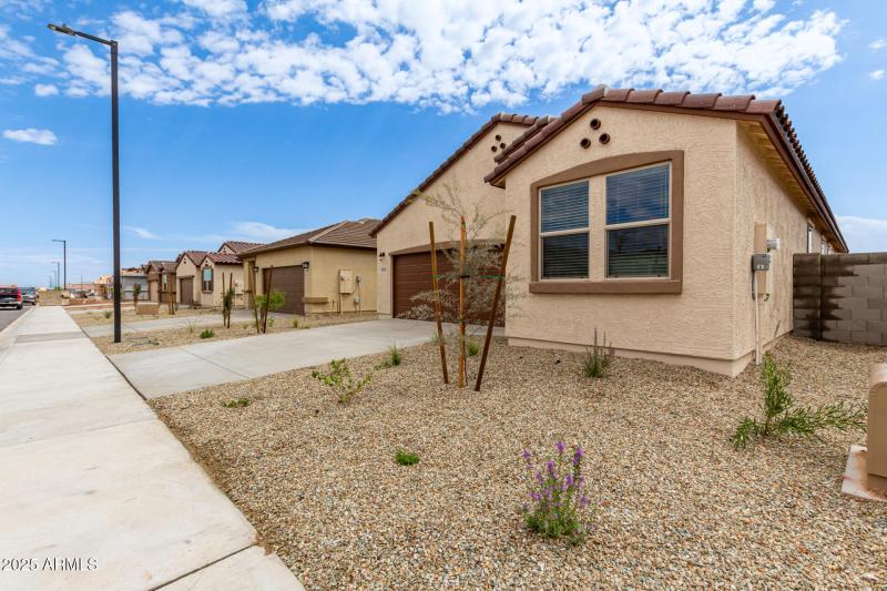 05 - Soft Wind 18253