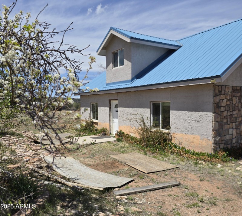 Apple Tree in Front Yard
