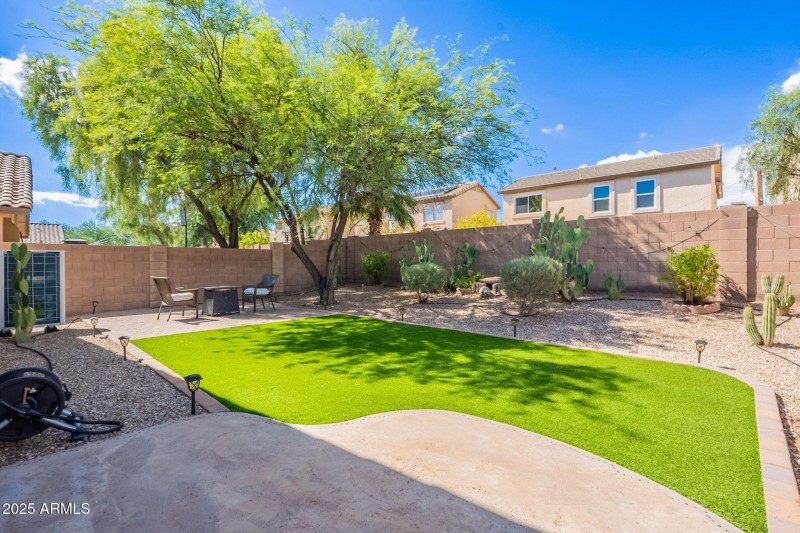 Turf in Backyard