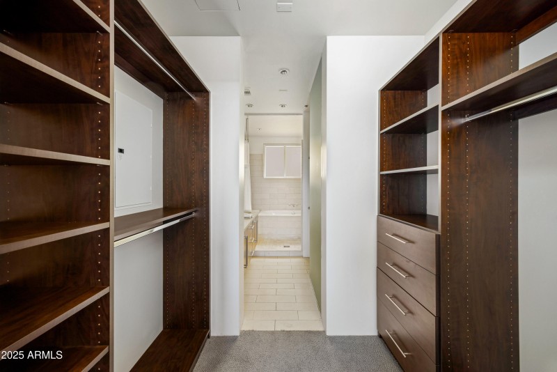 Safari Drive #3008-20