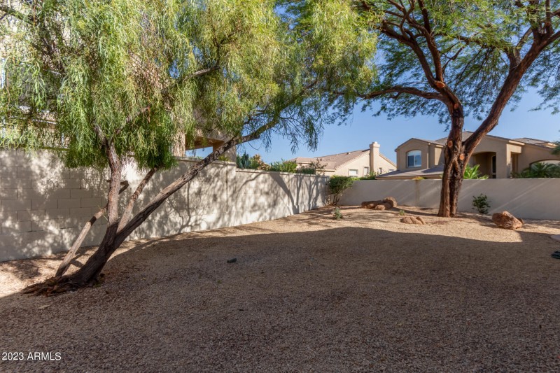 Large Open backyard open space