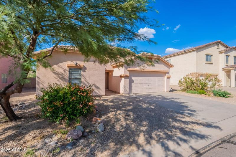 1-web-or-mls-Friesian-1