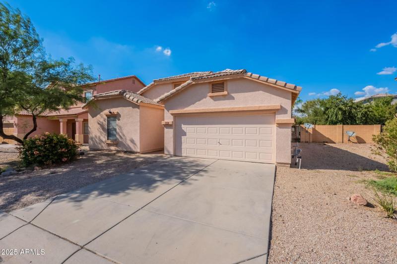 3-web-or-mls-Friesian-3