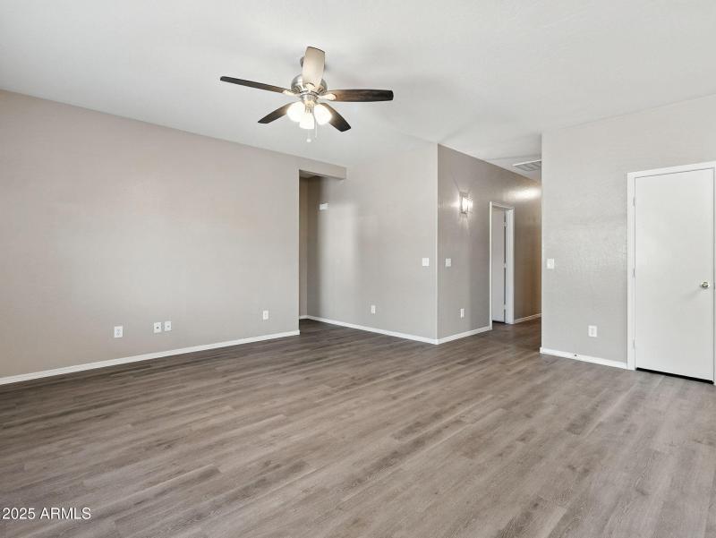 14-web-or-mls-Friesian-14