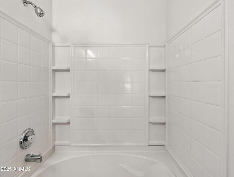 27-web-or-mls-Friesian-27