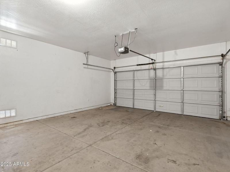 30-web-or-mls-Friesian-30