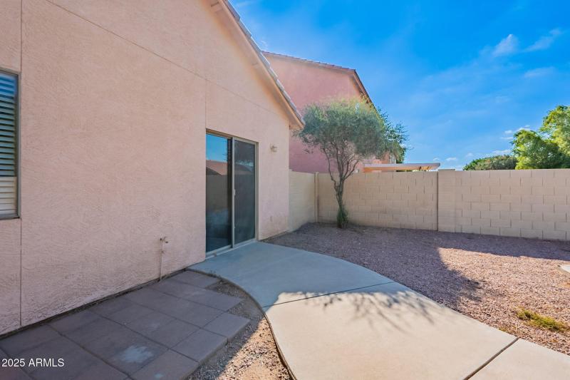 31-web-or-mls-Friesian-31