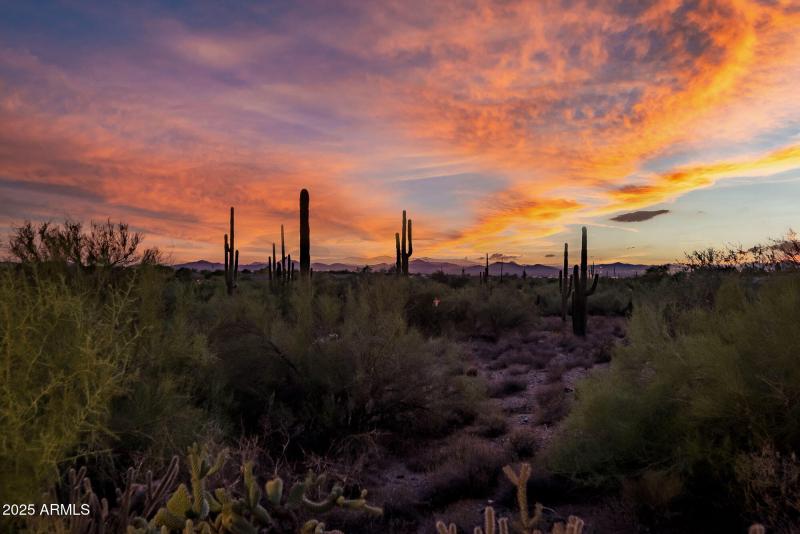 Picturesque Settings