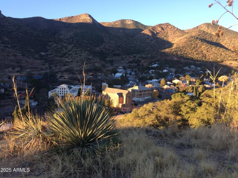 Morning-View-scaled