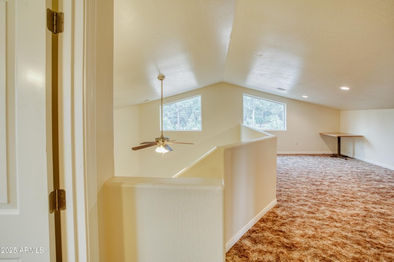 Forset Views from Inside