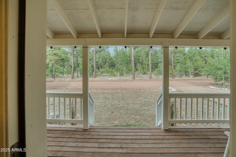 Forest Views from Your Front Door