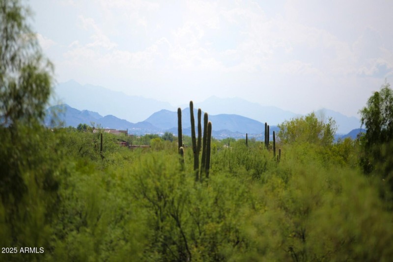 Fox Tail Trail (65)